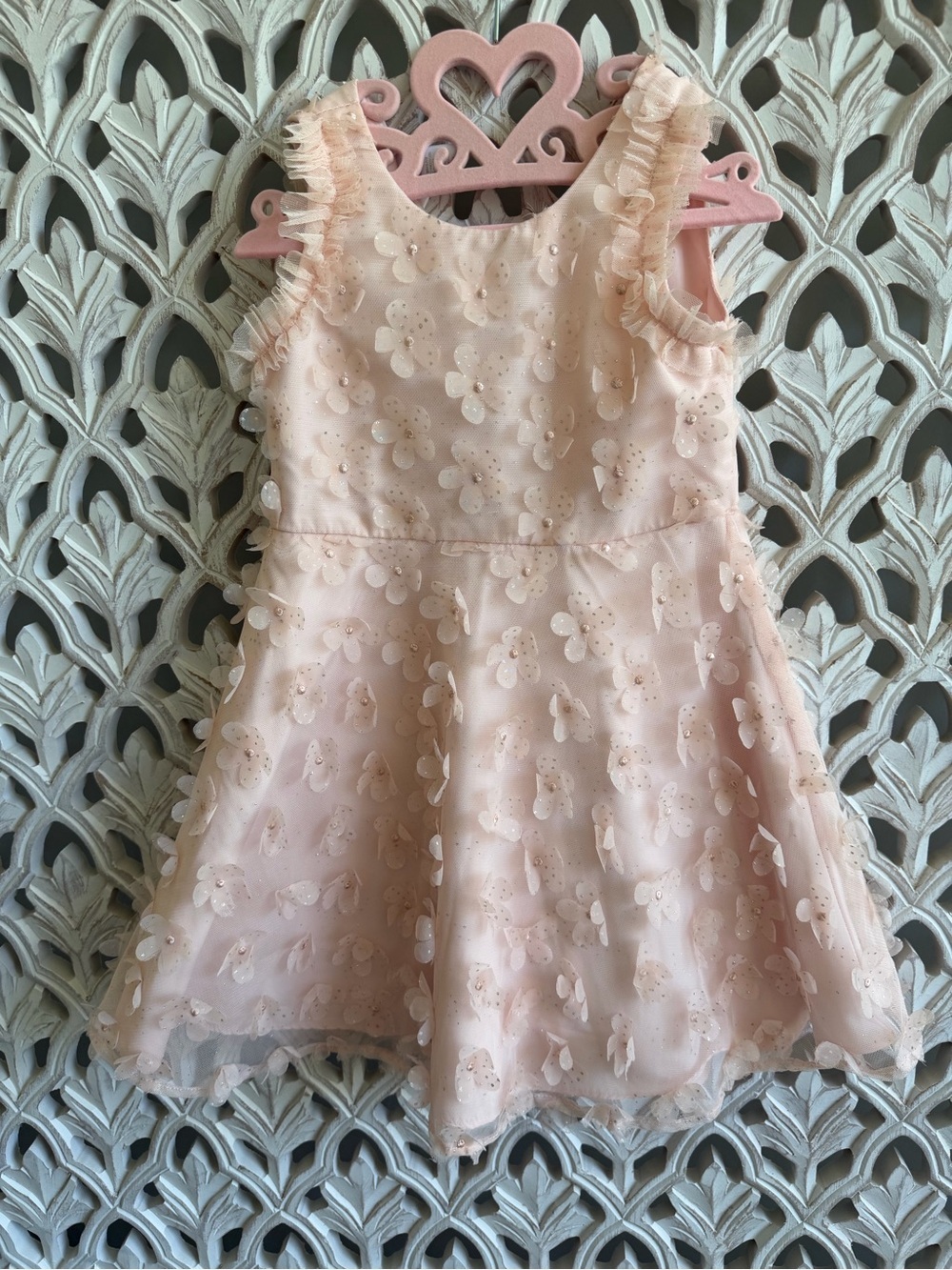 Pretty by Biscotti floral appliqué size 5 fancy dress